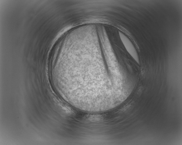 X0000076311043200610201607