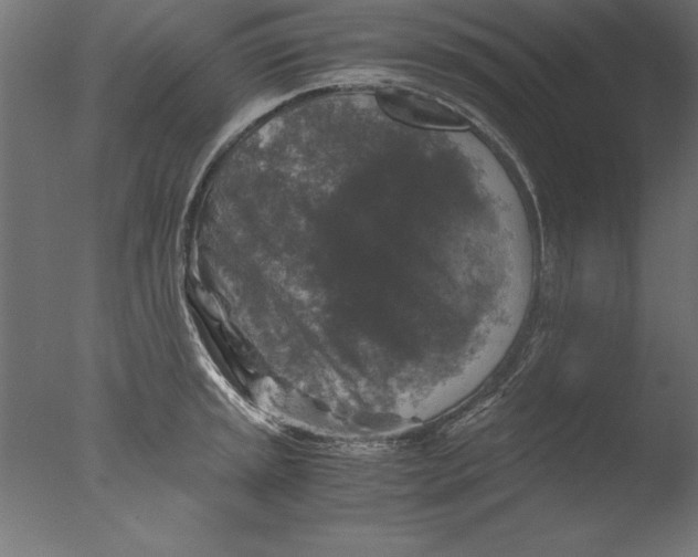 X0000076311045200610201607