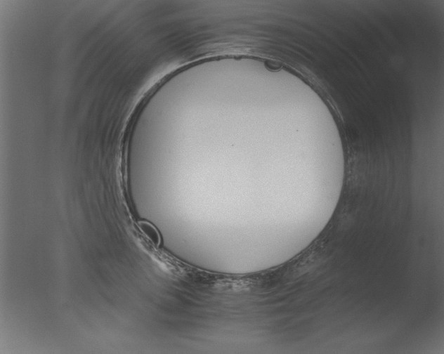 X0000076311051200610201607