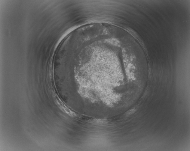 X0000076311052200610201607