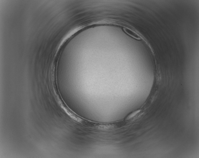 X0000076311053200610201607