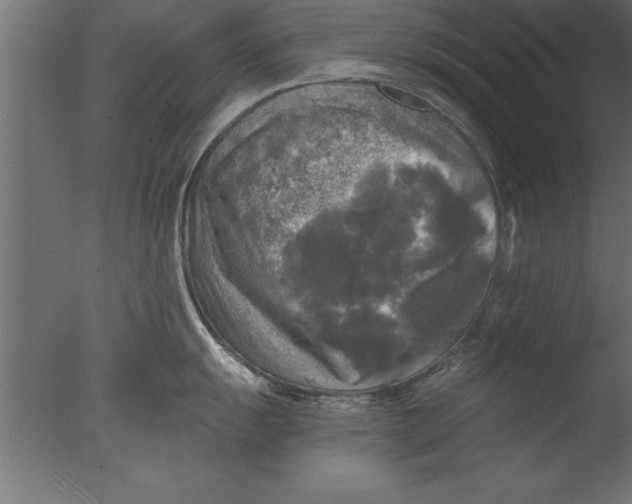 X0000076311055200610201607