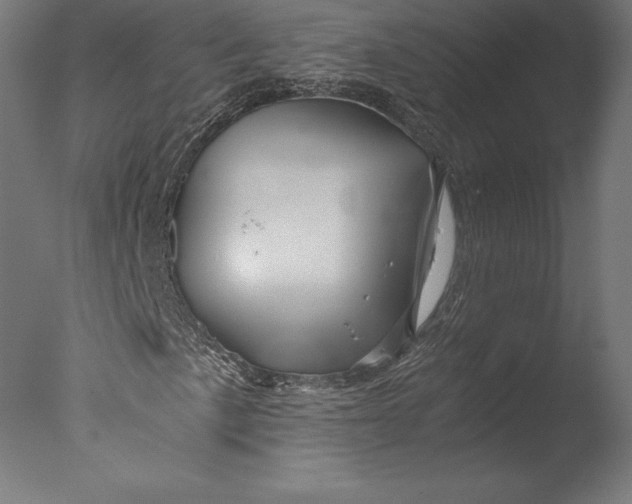 X0000076311057200610201607