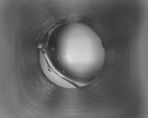 X0000076311058200610201607