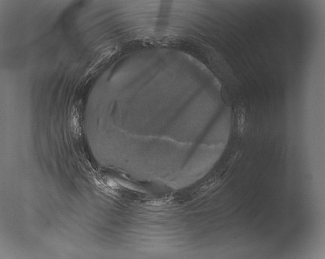 X0000076311060200610201607