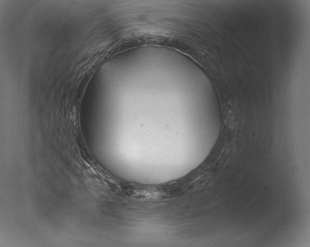 X0000076311061200610201607