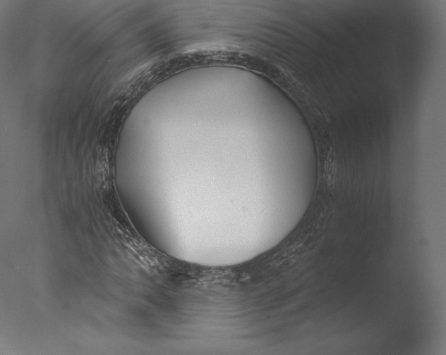 X0000076311062200610201607