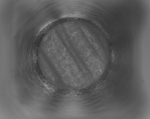 X0000076311064200610201607