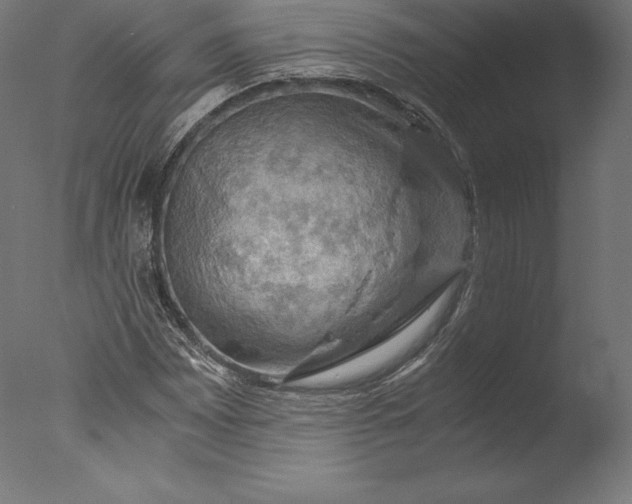 X0000076311065200610201607