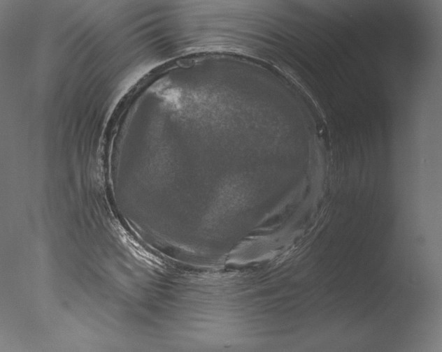 X0000076311068200610201606