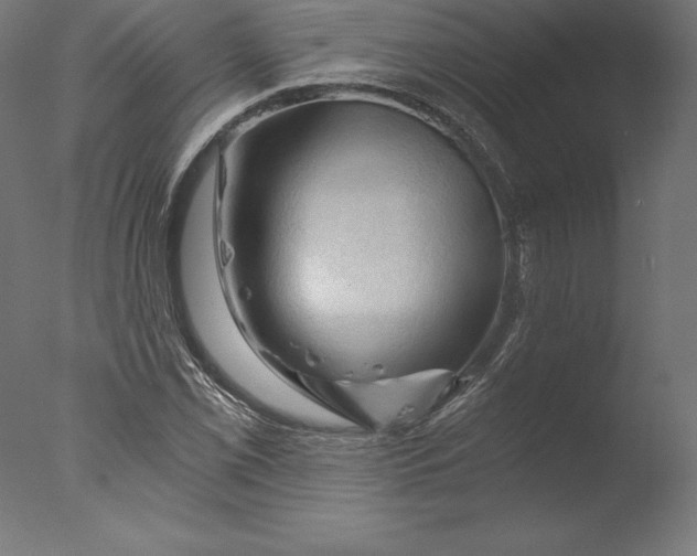 X0000076311069200610201606