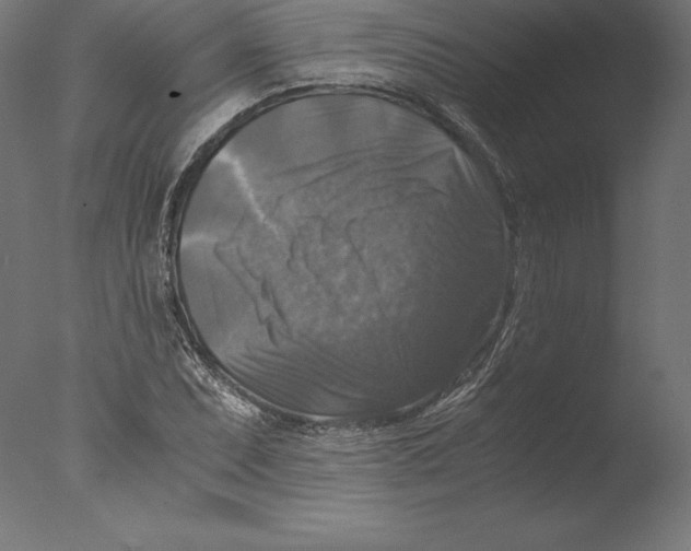 X0000076311071200610201606