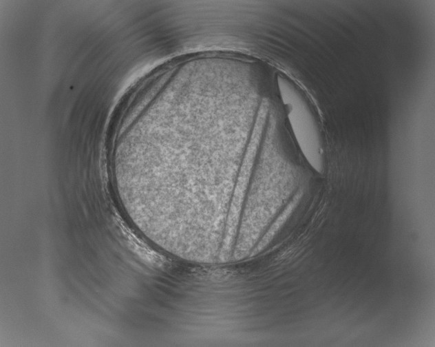 X0000076311072200610201606