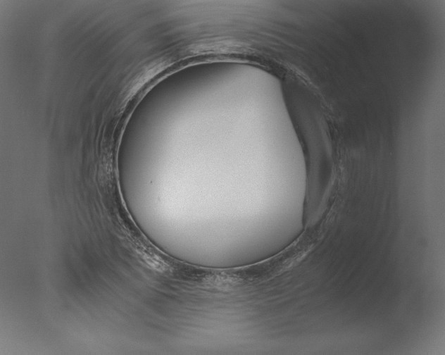 X0000076311073200610201606