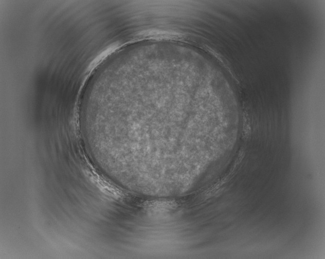 X0000076311074200610201606