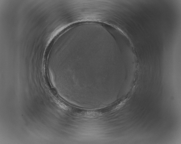 X0000076311077200610201606