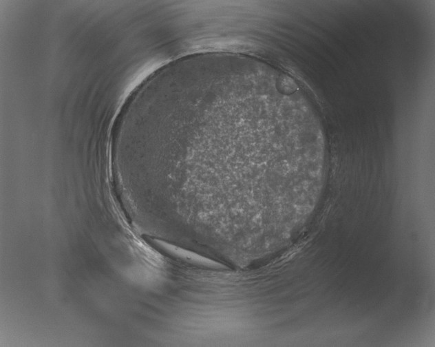 X0000076311079200610201606