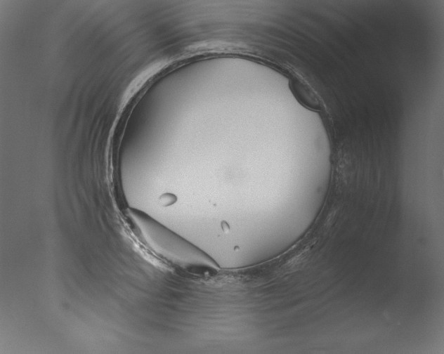 X0000076311082200610201606