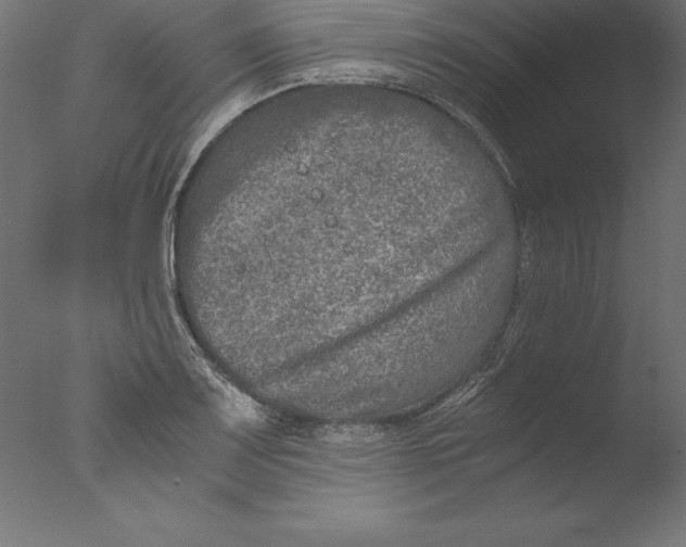 X0000076311083200610201606