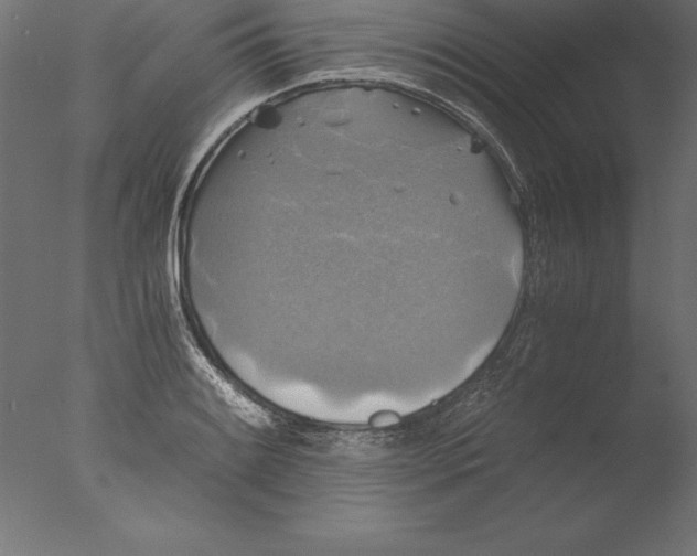 X0000076311084200610201606