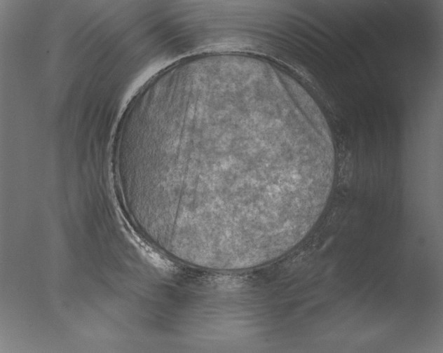 X0000076311086200610201606