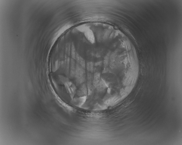 X0000076311087200610201606