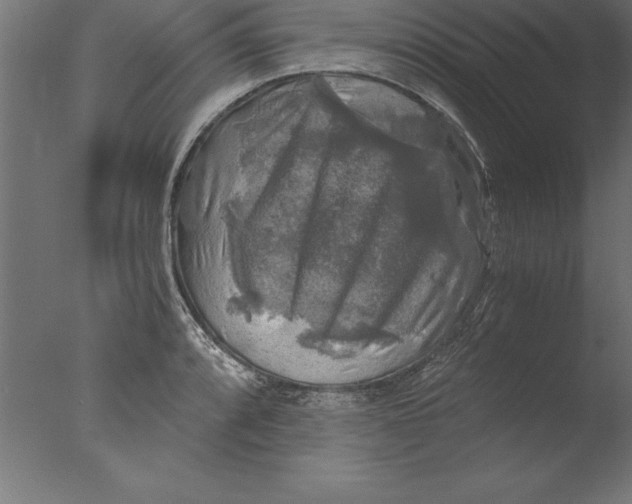 X0000076311088200610201606