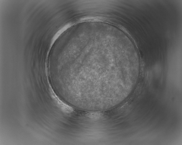 X0000076311090200610201606