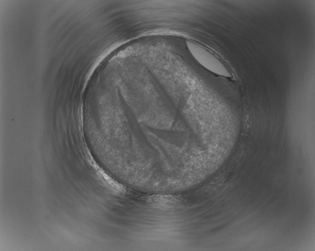 X0000076311092200610201606