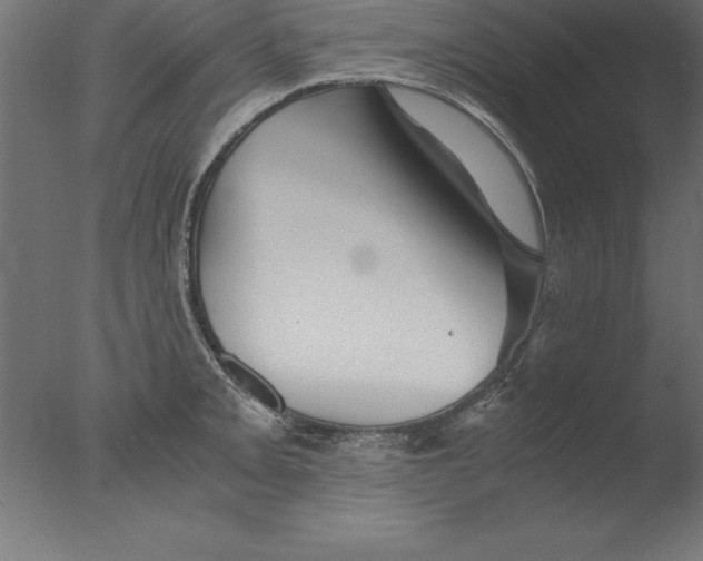 X0000076311093200610201606