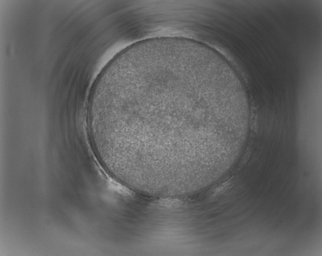 X0000076311094200610201606