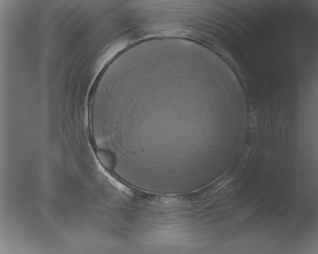 X0000076311095200610201606