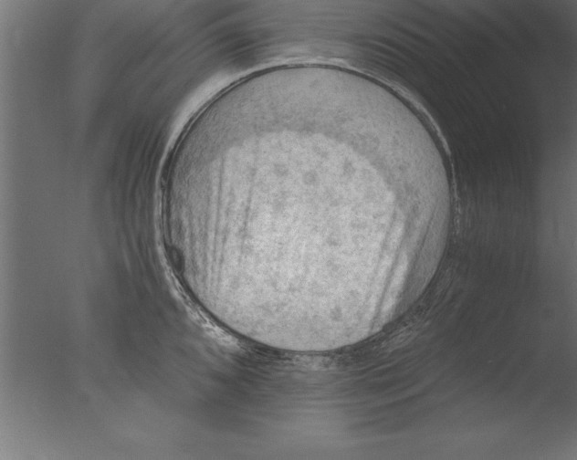 X0000076311096200610201606