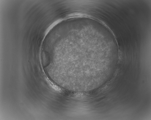 X0000076311098200610201606