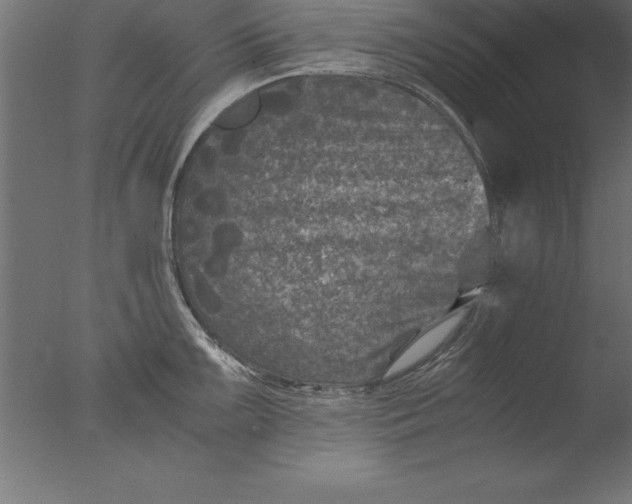 X0000076311099200610201606