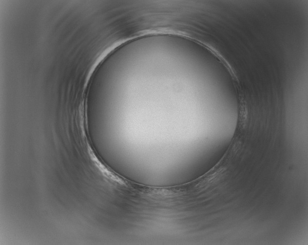 X0000076311100200610201606