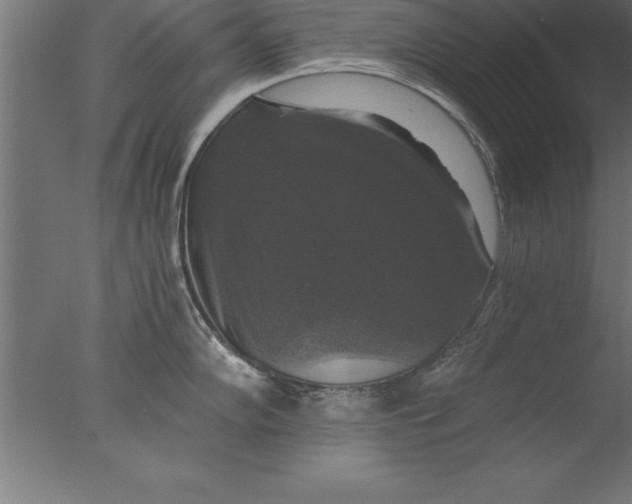 X0000076311102200610201606