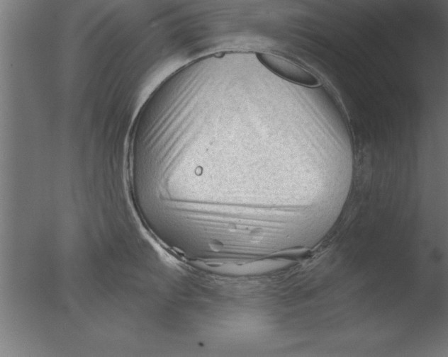 X0000076311103200610201606