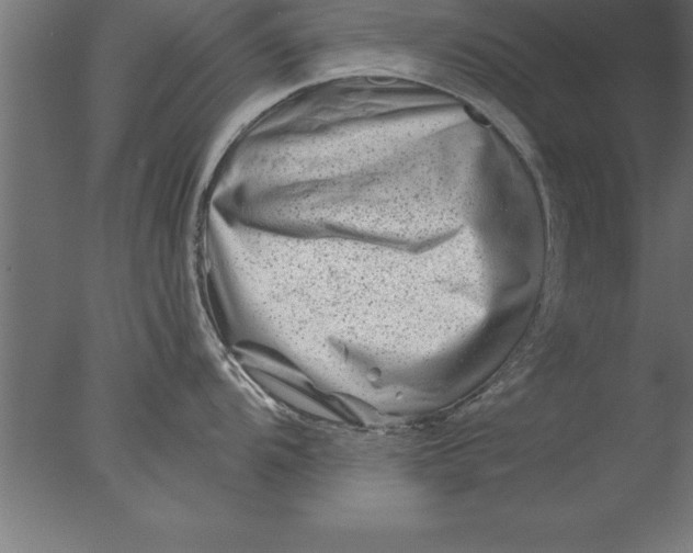 X0000076311104200610201606