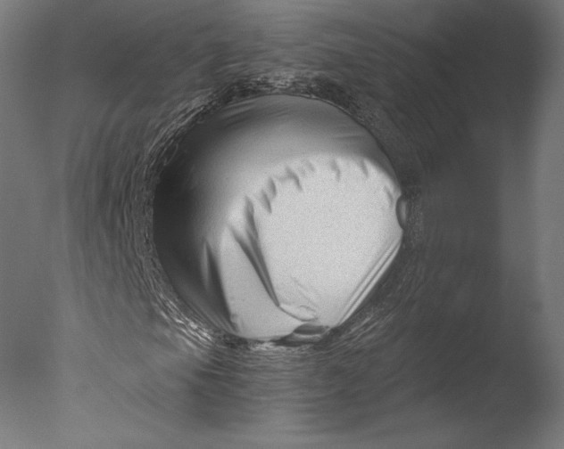 X0000076311105200610201605