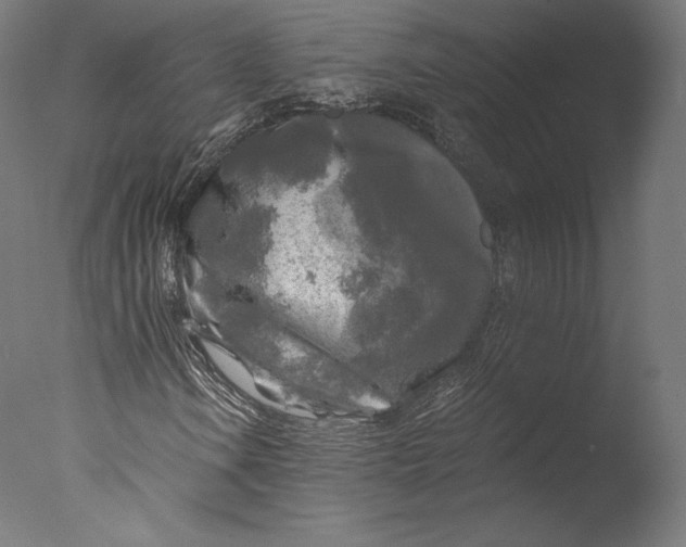 X0000076311106200610201605