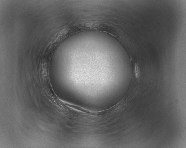 X0000076311107200610201605