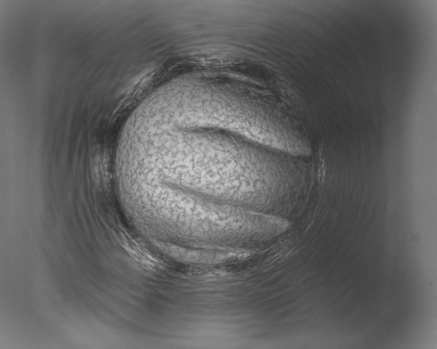 X0000076311108200610201605