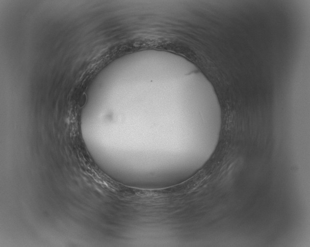 X0000076311109200610201605