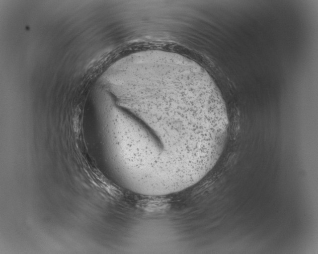 X0000076311110200610201605