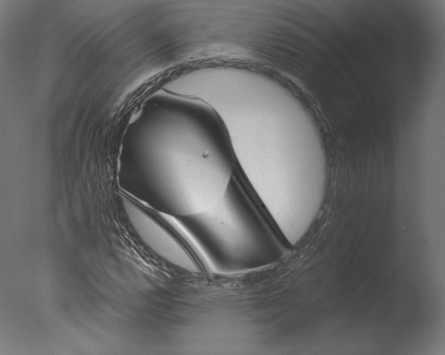 X0000076311112200610201605