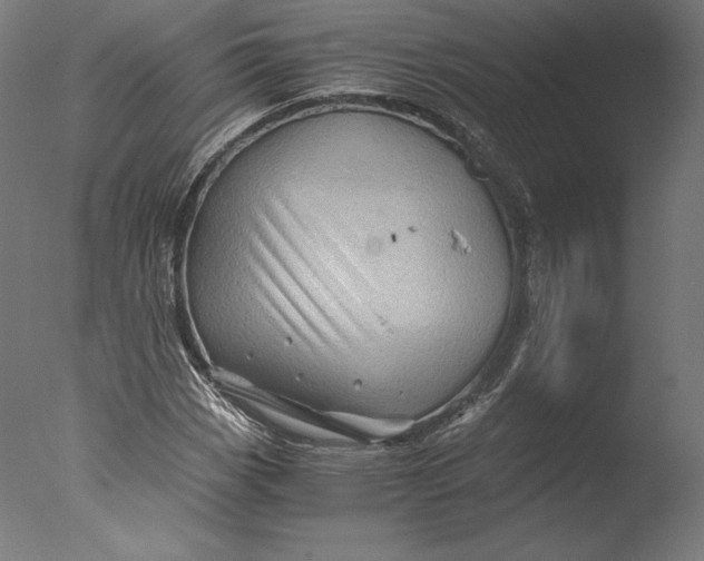 X0000076311113200610201605