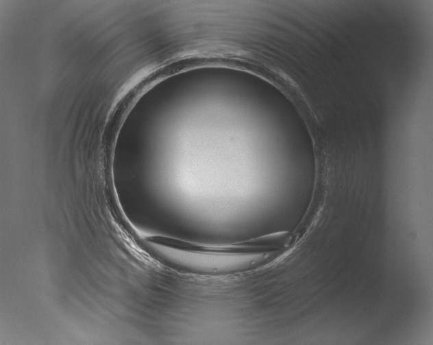 X0000076311114200610201605