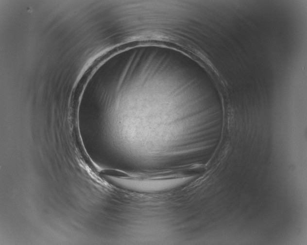 X0000076311116200610201605