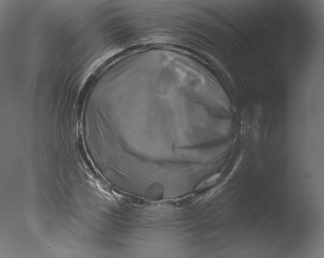 X0000076311117200610201605